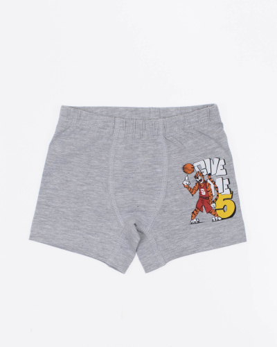 BAYKAR Боксеры 3434 BAYKAR Боксеры 3434 фото